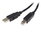 Cable USB 2.0 24 AGW (tipo "A / tipo "B"), negro, 1.5mt